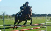 How a Suspected Fractured Pelvis turned out to be a "Grass" Issue