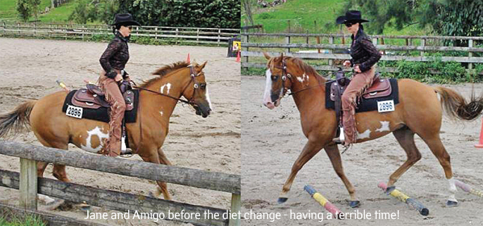 Amigo Before
