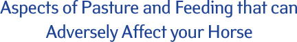 Aspects of Pasture and Feeding that can Adversely Affect your Horse