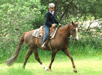 Jenny Riding