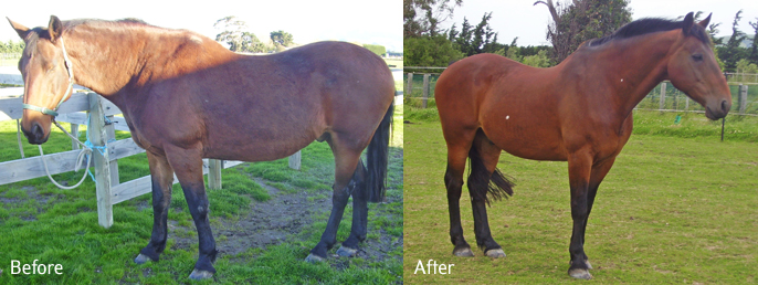 Jim - Before and After Photos