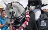Horse of the Year